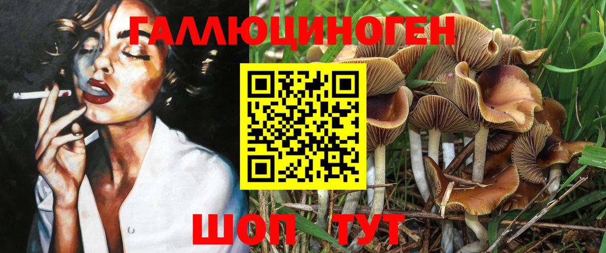 Дивногорск  Псилоцибиновые грибы ЛСД  Вход с VPN 
